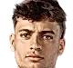 Flavio Cobolli